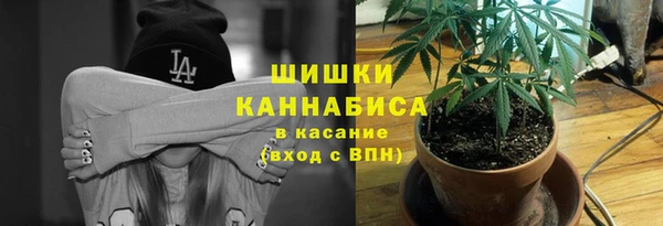 метадон Зеленодольск