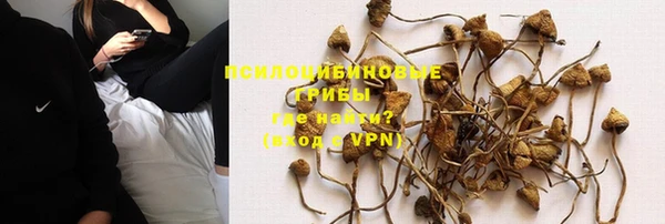 метадон Зеленодольск