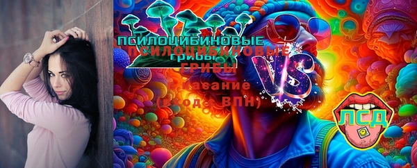 шишки Зерноград