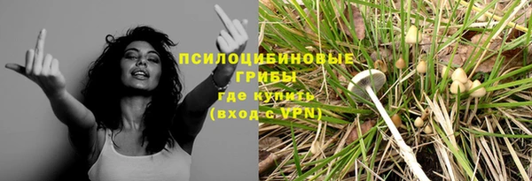 метадон Зеленодольск
